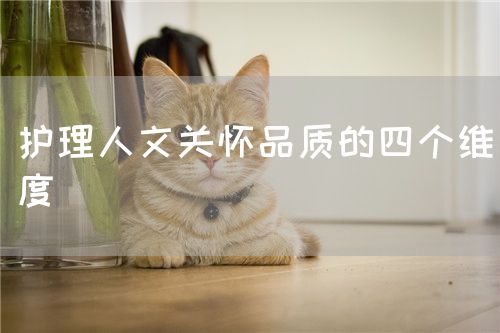 护理人文关怀品质的四个维度(图1)