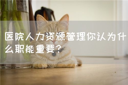 医院人力资源管理你认为什么职能重要？(图1)