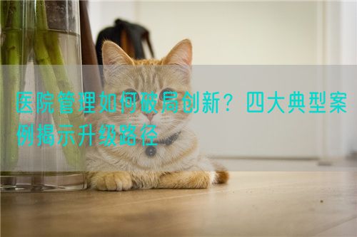 医院管理如何破局创新？四大典型案例揭示升级路径(图1)